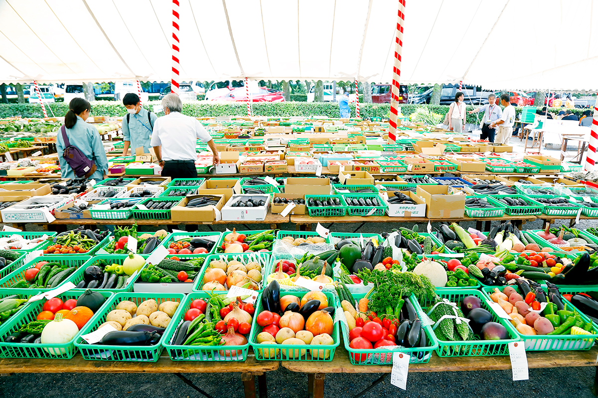 市内生産者の技とプライドの結晶を審査する。JA京都市の農産物品評会 | Link（JA京都市メディア）