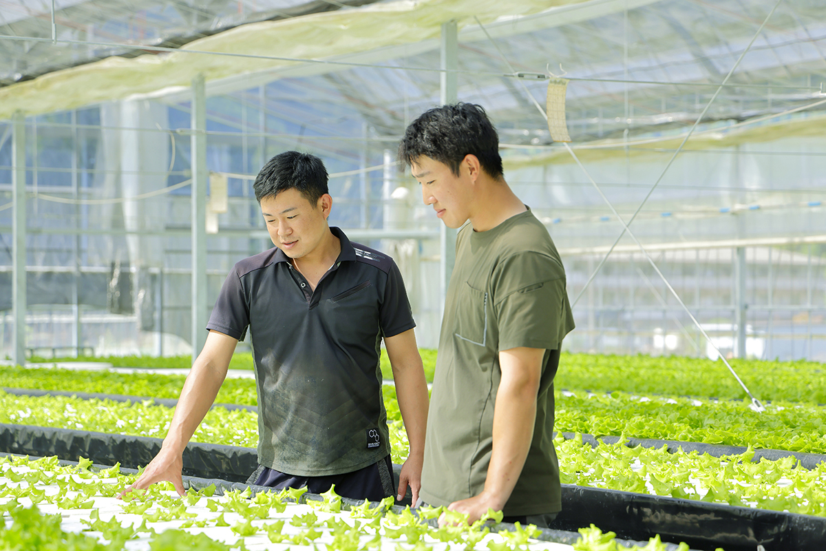 Link ｰ暮らしと農がリンクする 都市農業の今を伝えるJA京都市メディアｰ